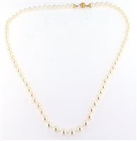 Halskette Forever Gioielli Dame Collana Perle in Gelbgold Perla FGCO00341 - FGCO00341